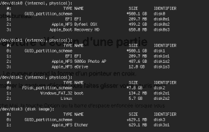 aperçu diskutil list